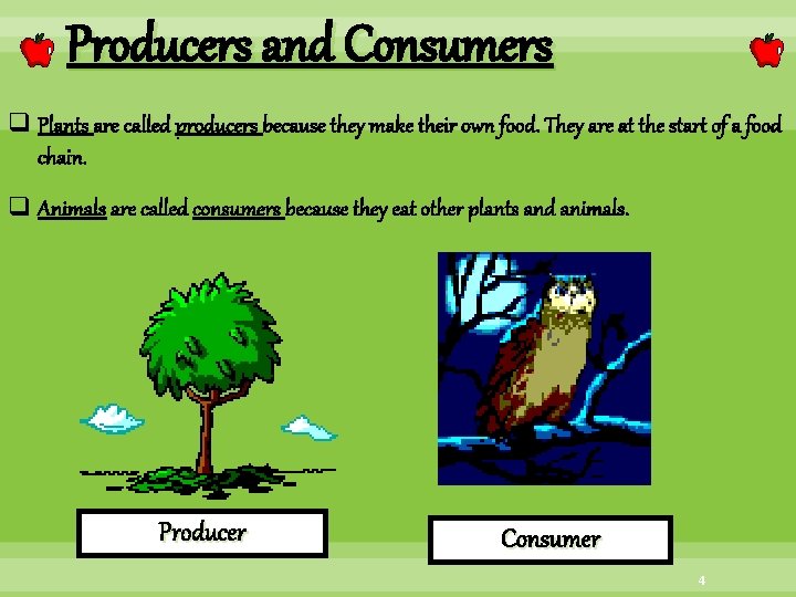 Producers and Consumers q Plants are called producers because they make their own food.
