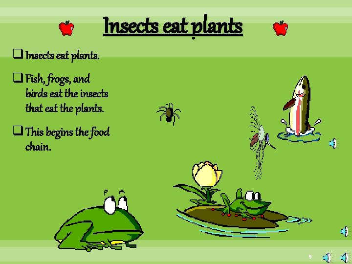 Insects eat plants q Insects eat plants. q Fish, frogs, and birds eat the