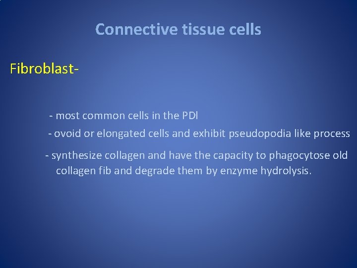 Connective tissue cells Fibroblast- most common cells in the PDl - ovoid or elongated Connective tissue cells Fibroblast- most common cells in the PDl - ovoid or elongated