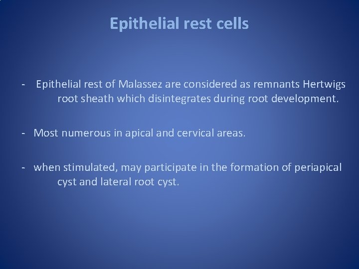 Epithelial rest cells - Epithelial rest of Malassez are considered as remnants Hertwigs root Epithelial rest cells - Epithelial rest of Malassez are considered as remnants Hertwigs root