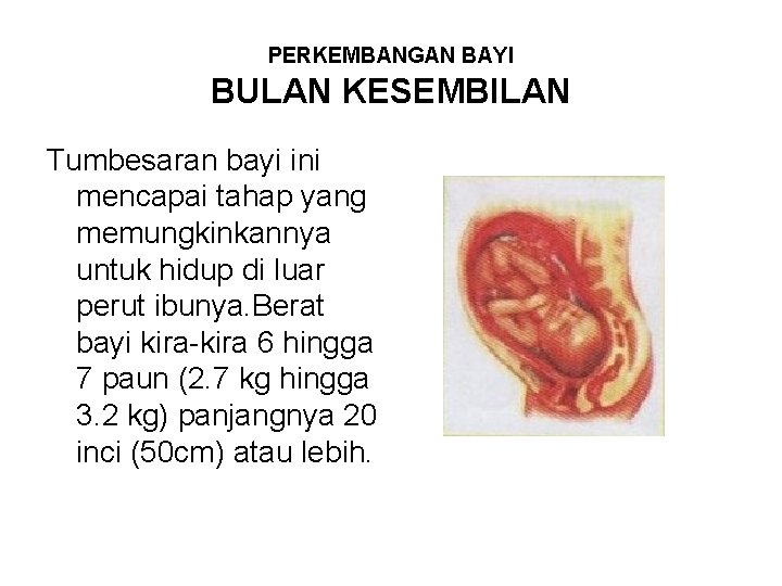 PERKEMBANGAN BAYI BULAN KESEMBILAN Tumbesaran bayi ini mencapai tahap yang memungkinkannya untuk hidup di