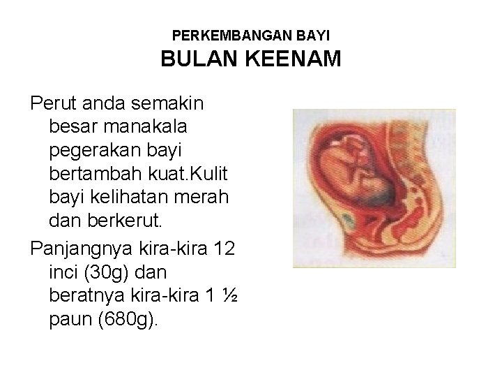 PERKEMBANGAN BAYI BULAN KEENAM Perut anda semakin besar manakala pegerakan bayi bertambah kuat. Kulit