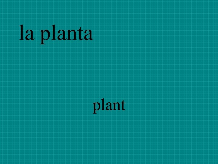 la plant 