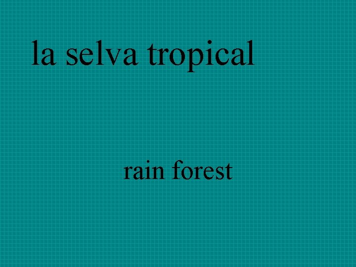 la selva tropical rain forest 