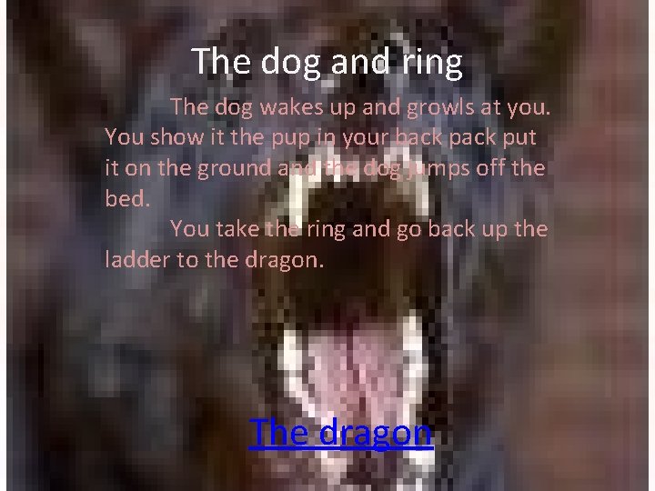 The dog and ring The dog wakes up and growls at you. You show