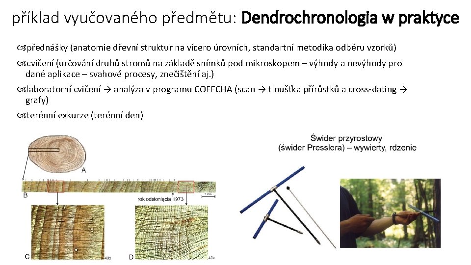 příklad vyučovaného předmětu: Dendrochronologia w praktyce přednášky (anatomie dřevní struktur na vícero úrovních, standartní