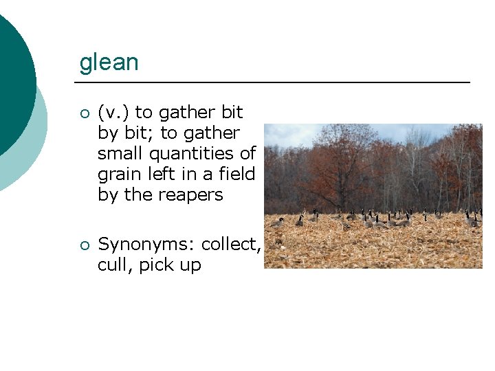 glean ¡ (v. ) to gather bit by bit; to gather small quantities of