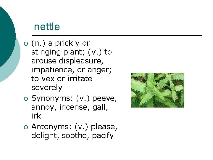 nettle ¡ ¡ ¡ (n. ) a prickly or stinging plant; (v. ) to