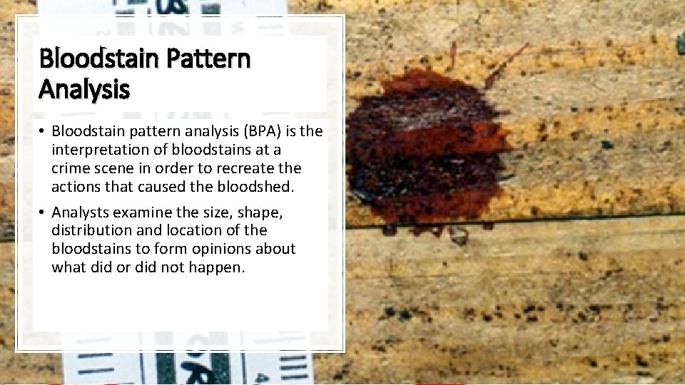 Bloodstain Pattern Analysis • Bloodstain pattern analysis (BPA) is the interpretation of bloodstains at