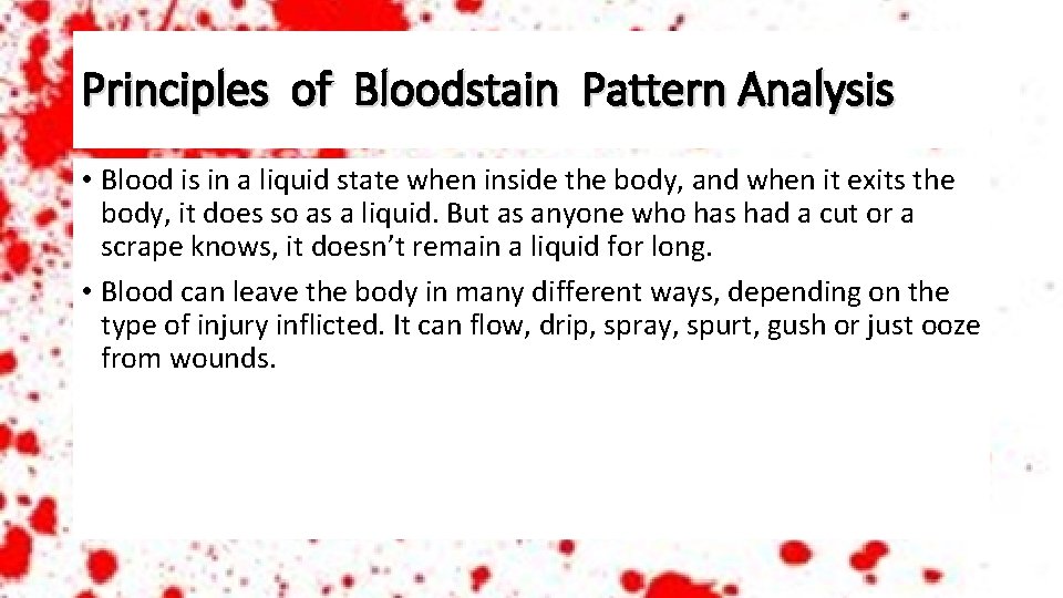 Principles of Bloodstain Pattern Analysis • Blood is in a liquid state when inside