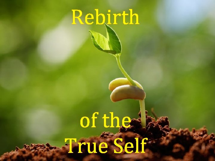 Rebirth of the True Self 