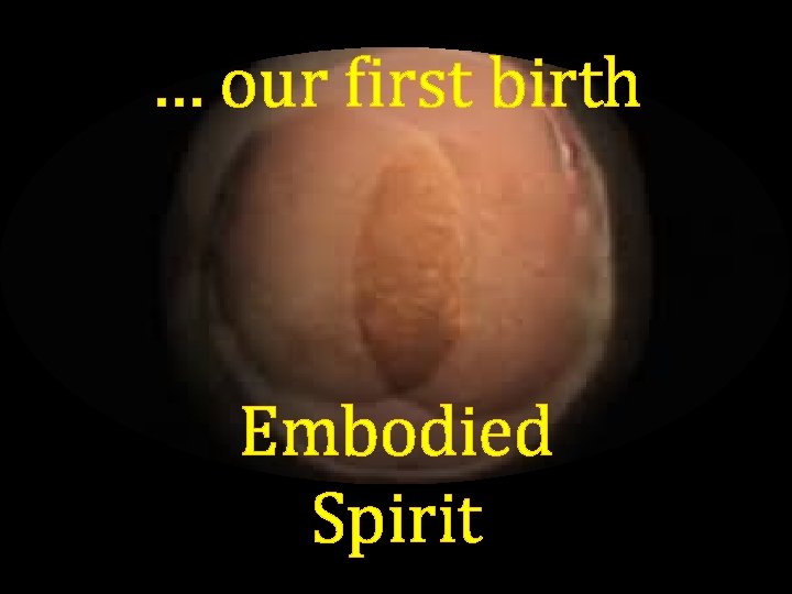 … our first birth Embodied Spirit 