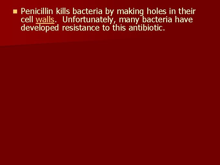 n Penicillin kills bacteria by making holes in their cell walls. Unfortunately, many bacteria