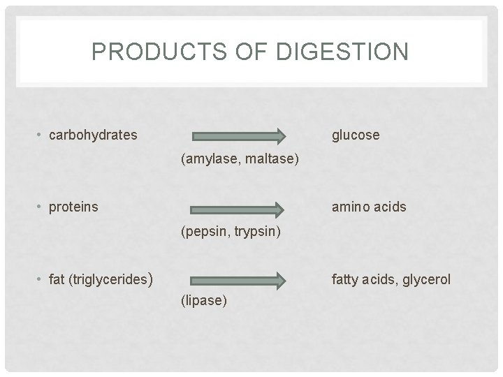 PRODUCTS OF DIGESTION • carbohydrates glucose (amylase, maltase) • proteins amino acids (pepsin, trypsin)