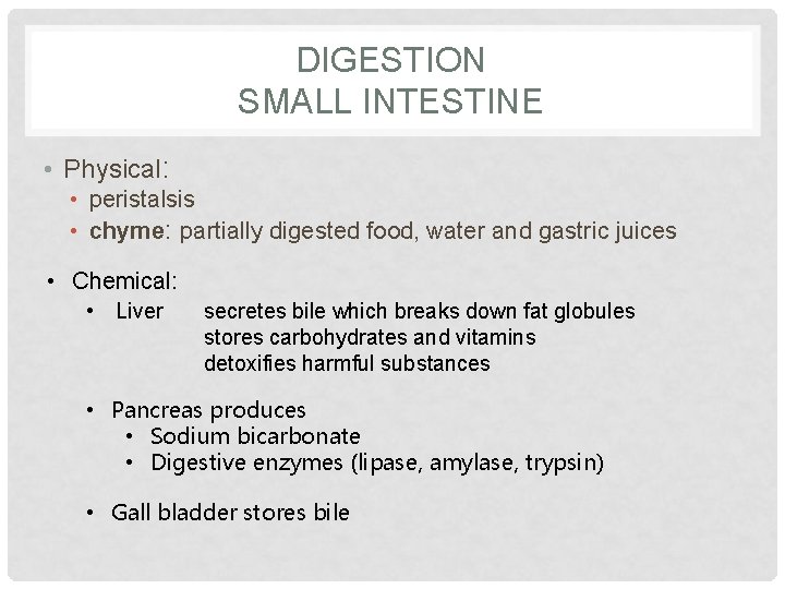 DIGESTION SMALL INTESTINE • Physical: • peristalsis • chyme: partially digested food, water and