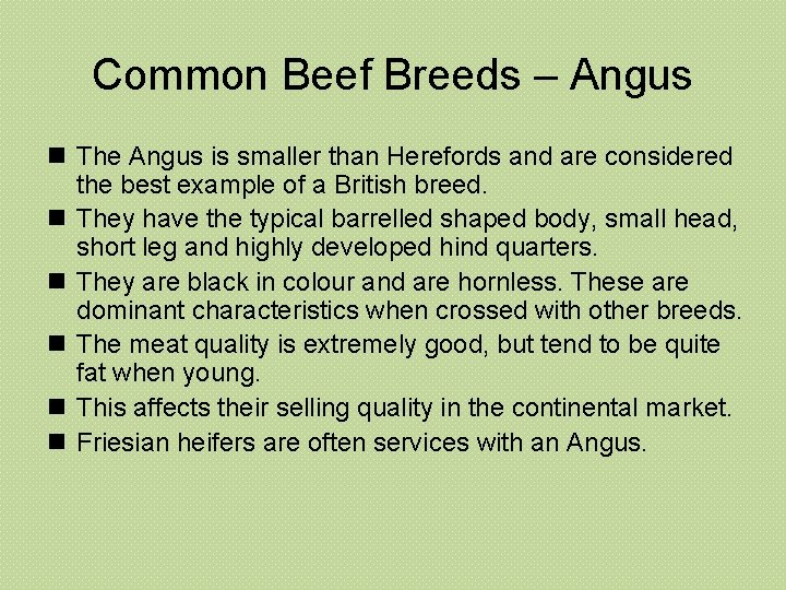 Common Beef Breeds – Angus n The Angus is smaller than Herefords and are