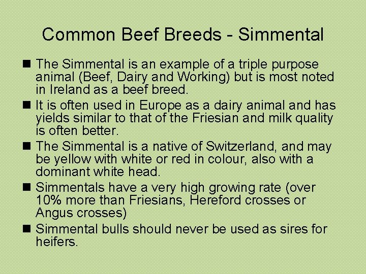 Common Beef Breeds - Simmental n The Simmental is an example of a triple