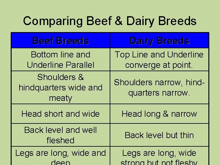 Comparing Beef & Dairy Breeds Beef Breeds Dairy Breeds Bottom line and Underline Parallel