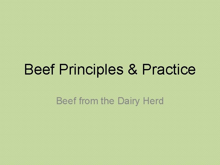 Beef Principles & Practice Beef from the Dairy Herd 