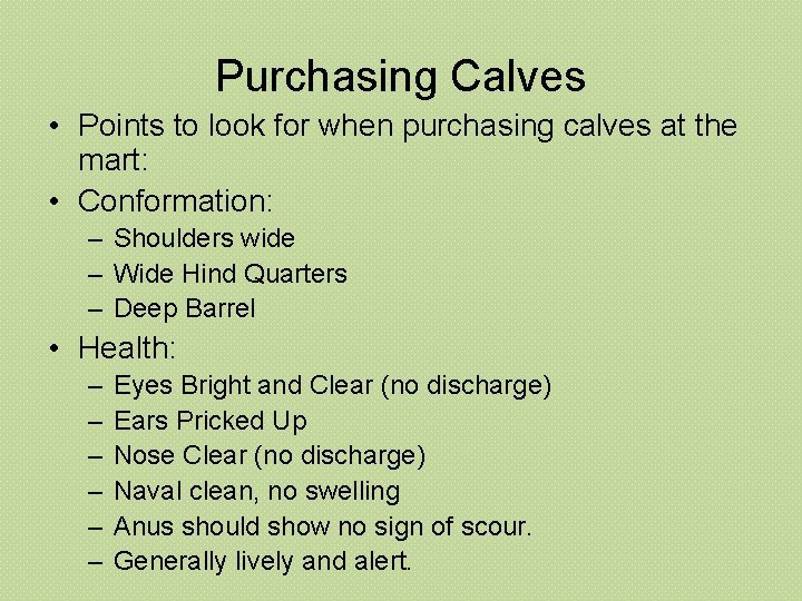 Purchasing Calves • Points to look for when purchasing calves at the mart: •