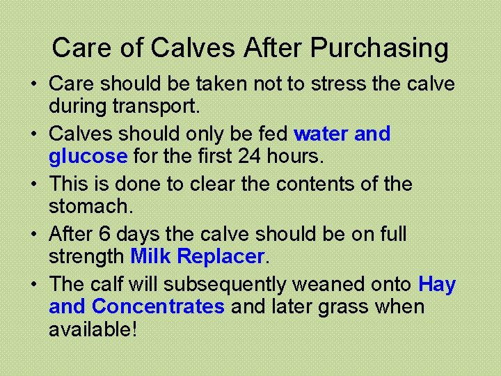 Care of Calves After Purchasing • Care should be taken not to stress the