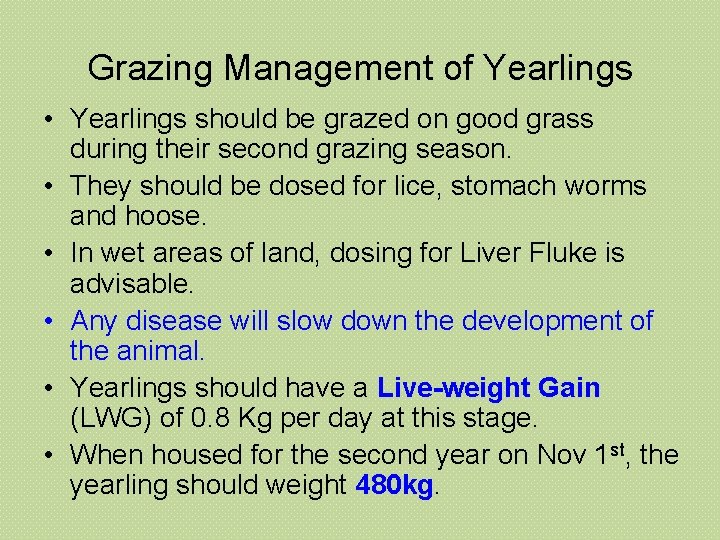 Grazing Management of Yearlings • Yearlings should be grazed on good grass during their