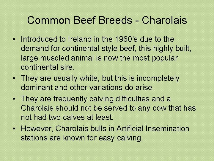 Common Beef Breeds - Charolais • Introduced to Ireland in the 1960’s due to