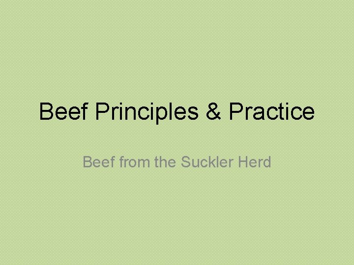 Beef Principles & Practice Beef from the Suckler Herd 