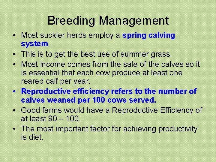 Breeding Management • Most suckler herds employ a spring calving system. • This is