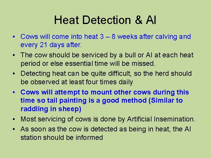 Heat Detection & AI • Cows will come into heat 3 – 8 weeks