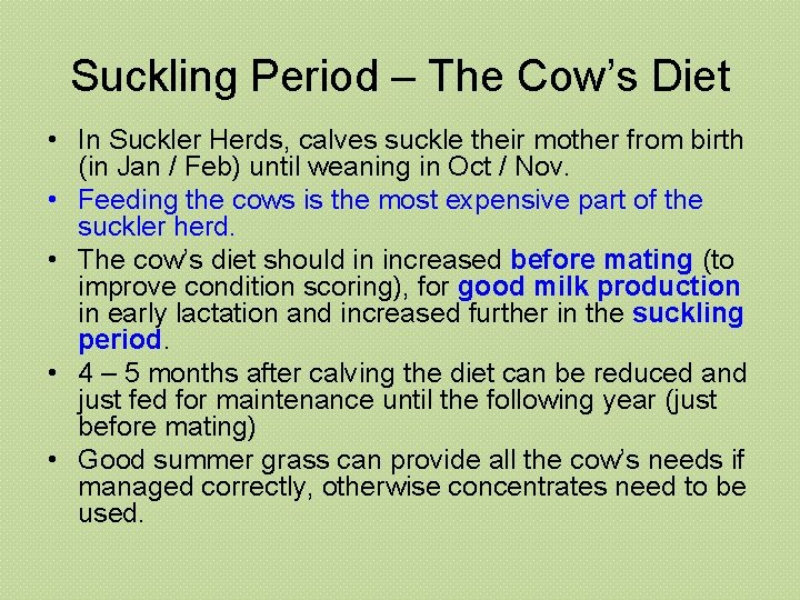 Suckling Period – The Cow’s Diet • In Suckler Herds, calves suckle their mother