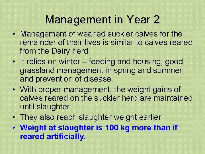 Management in Year 2 • Management of weaned suckler calves for the remainder of