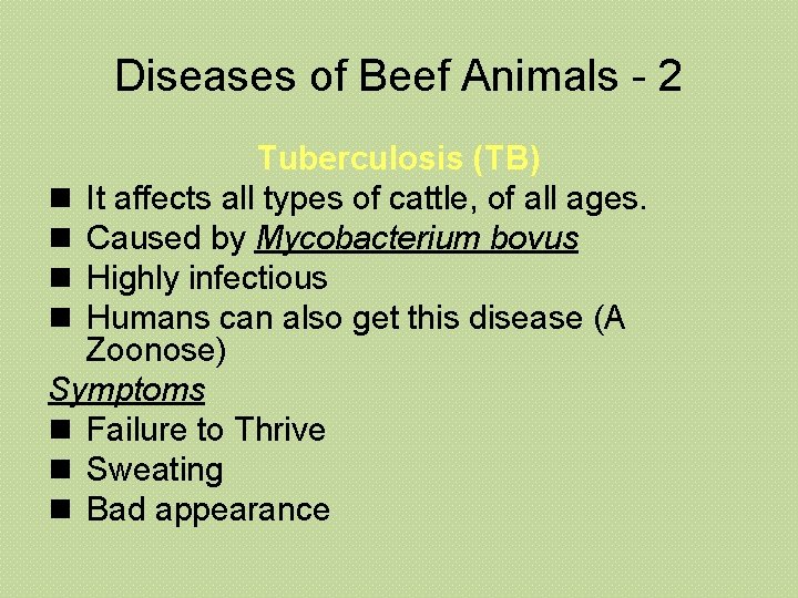 Diseases of Beef Animals - 2 Tuberculosis (TB) n It affects all types of