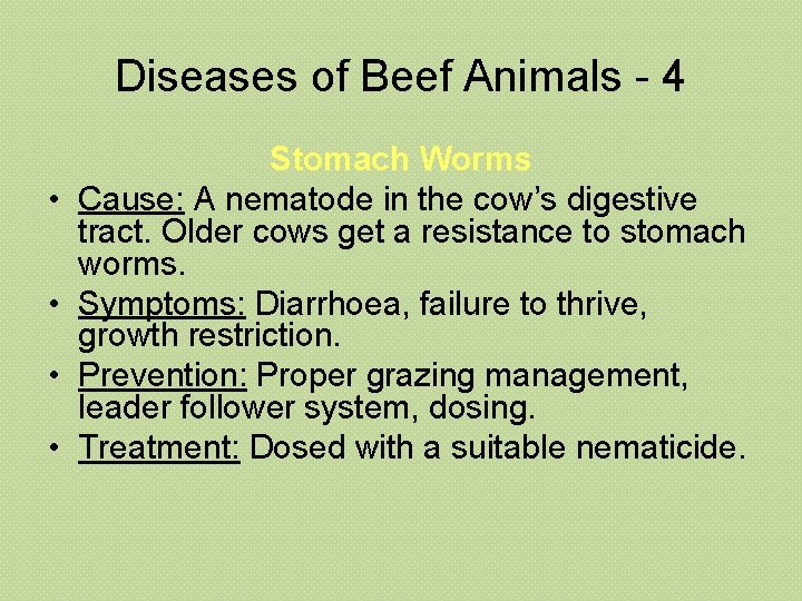 Diseases of Beef Animals - 4 • • Stomach Worms Cause: A nematode in