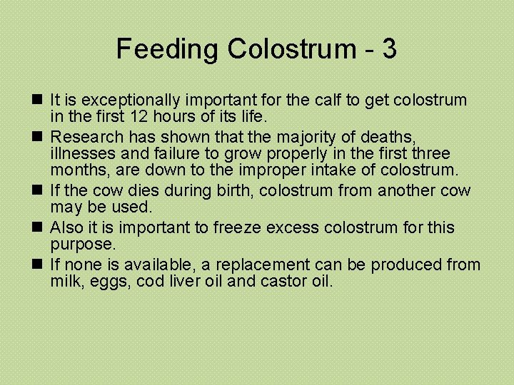 Feeding Colostrum - 3 n It is exceptionally important for the calf to get