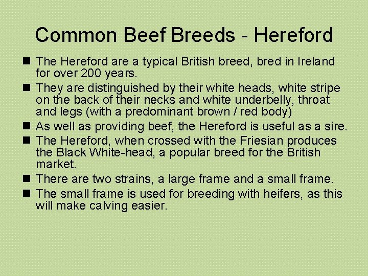 Common Beef Breeds - Hereford n The Hereford are a typical British breed, bred