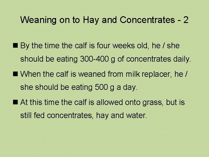 Weaning on to Hay and Concentrates - 2 n By the time the calf