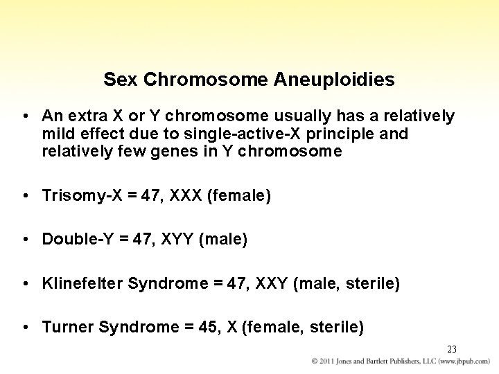 Sex Chromosome Aneuploidies • An extra X or Y chromosome usually has a relatively