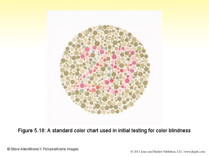 Figure 5. 18: A standard color chart used in initial testing for color blindness