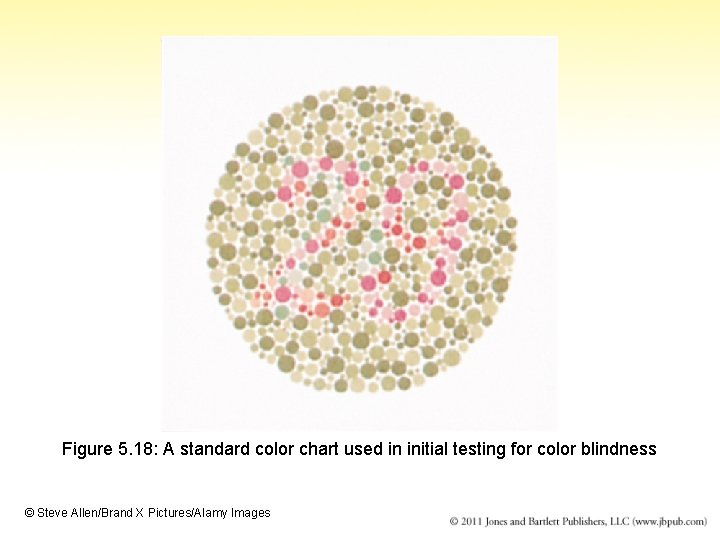 Figure 5. 18: A standard color chart used in initial testing for color blindness