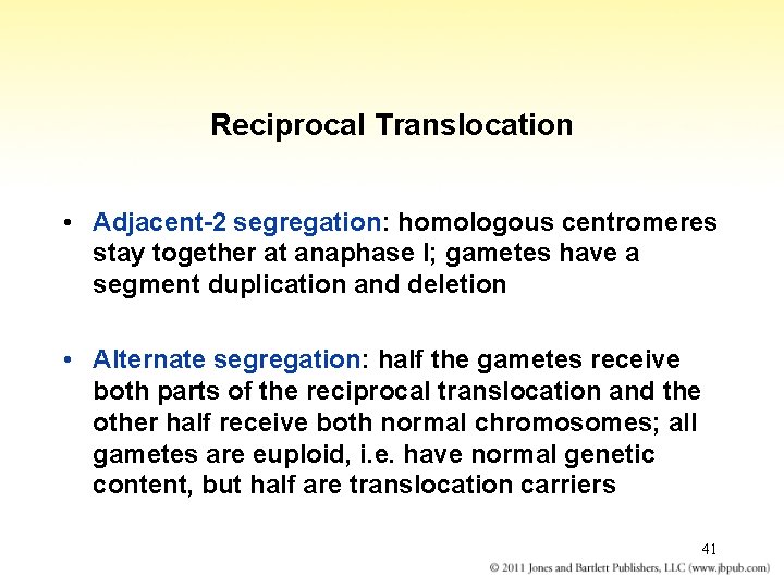 Reciprocal Translocation • Adjacent-2 segregation: homologous centromeres stay together at anaphase I; gametes have