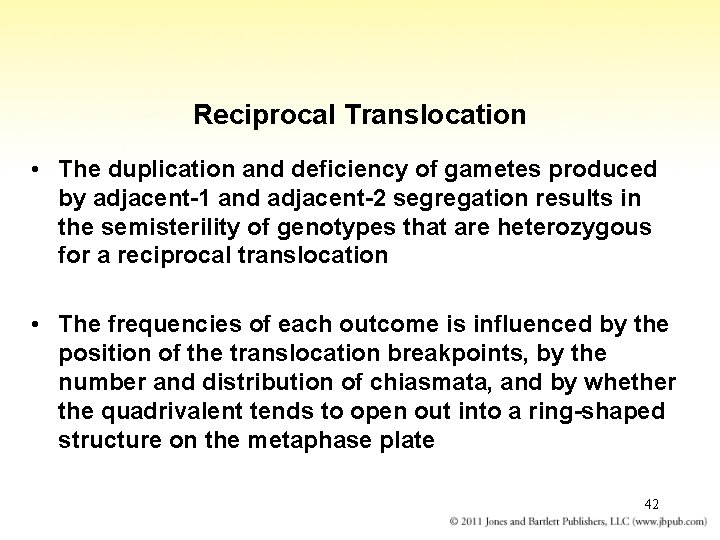 Reciprocal Translocation • The duplication and deficiency of gametes produced by adjacent-1 and adjacent-2