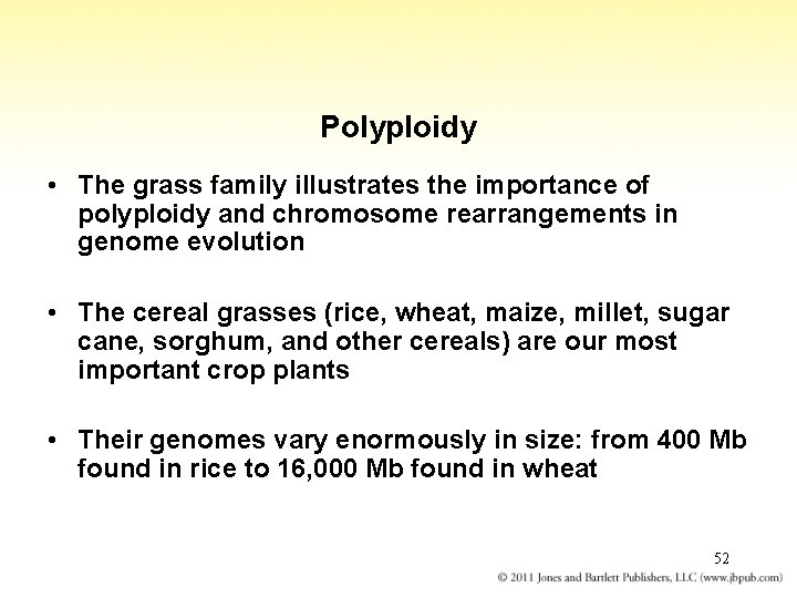 Polyploidy • The grass family illustrates the importance of polyploidy and chromosome rearrangements in