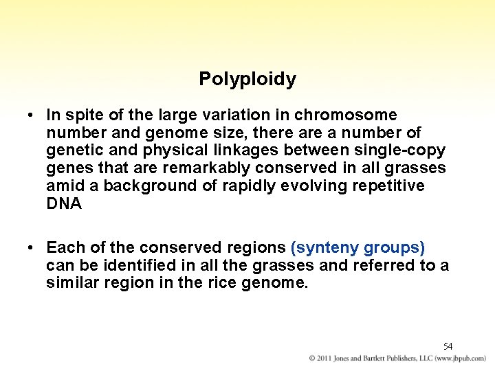 Polyploidy • In spite of the large variation in chromosome number and genome size,