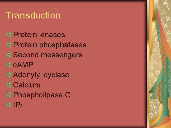 Transduction Protein kinases Protein phosphatases Second messengers c. AMP Adenylyl cyclase Calcium Phospholipase C