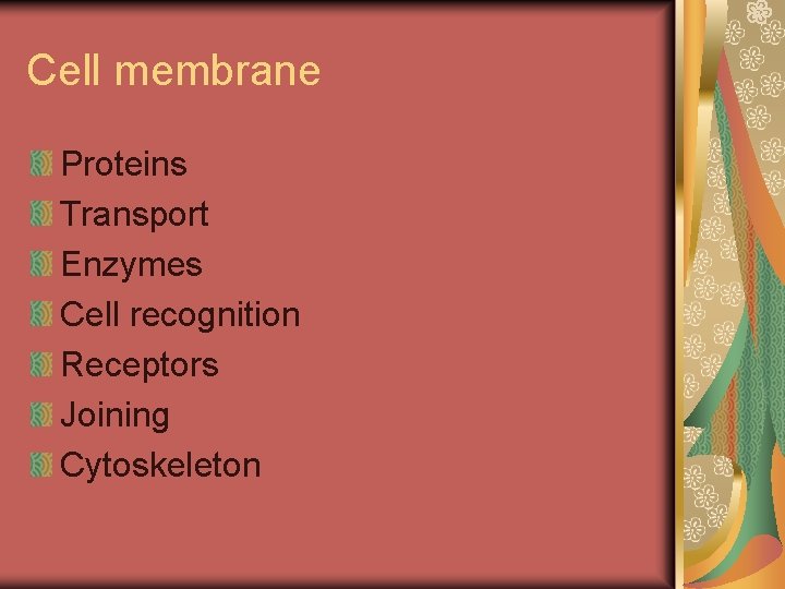 Cell membrane Proteins Transport Enzymes Cell recognition Receptors Joining Cytoskeleton 