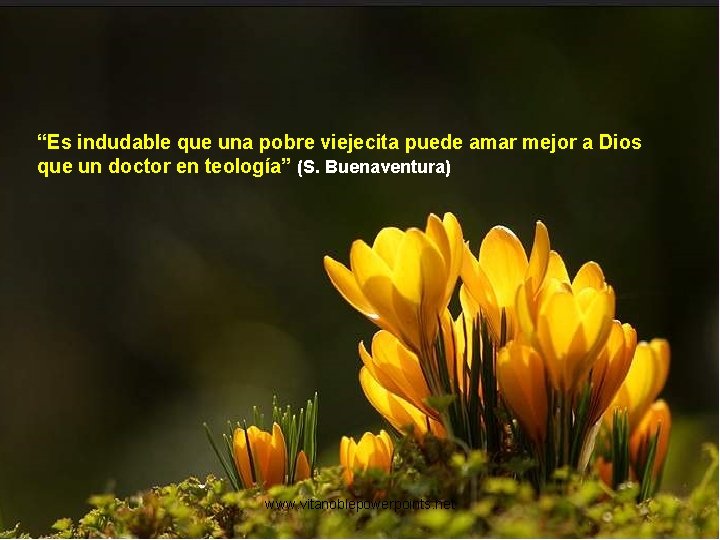 “Es indudable que una pobre viejecita puede amar mejor a Dios que un doctor