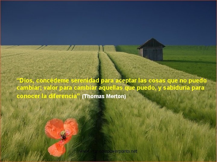 “Dios, concédeme serenidad para aceptar las cosas que no puedo cambiar; valor para cambiar