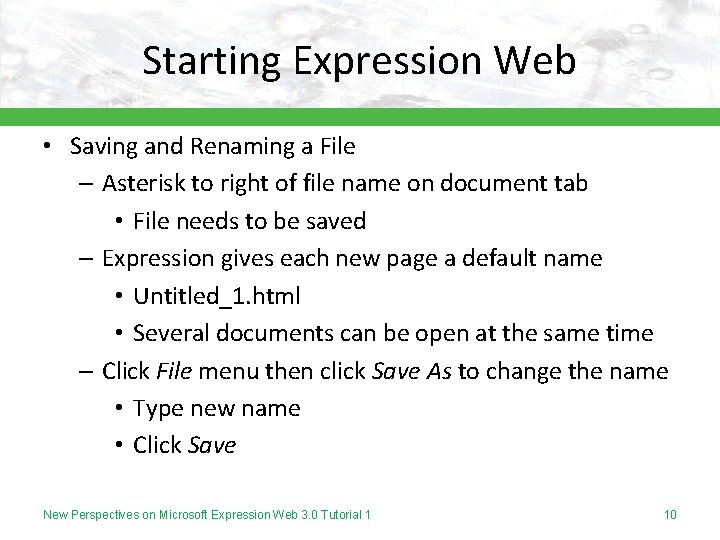 Starting Expression Web • Saving and Renaming a File – Asterisk to right of