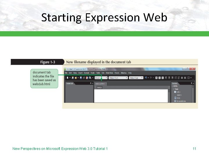 Starting Expression Web New Perspectives on Microsoft Expression Web 3. 0 Tutorial 1 11
